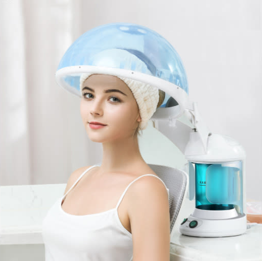 Hair and Facial Steamer - HairMomentā¢